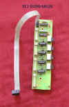 ECI Board.jpg (635303 bytes)